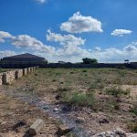 Satılır Torpaq, Qala, Xəzər rayonu 2