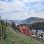 Satılır Torpaq Şamaxı 4