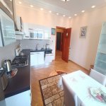 Kirayə (aylıq) 2 otaqlı Yeni Tikili, Elmlər akademiyası metrosu, Yasamal rayonu 15