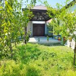 Kirayə (günlük) 3 otaqlı Həyət evi/villa Qəbələ 3