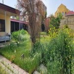 Продажа Участок, пос. Бадамдар, Сябаиль район 2