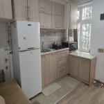 Kirayə (aylıq) 1 otaqlı Köhnə Tikili, 28 May metrosu, Nəsimi rayonu 15