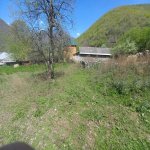 Satılır Torpaq Qax 8