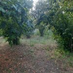 Satılır Torpaq İsmayıllı 4