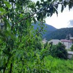 Kirayə (günlük) 3 otaqlı Həyət evi/villa Qax 20