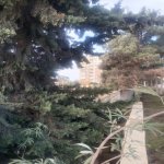 Satılır Torpaq, Pirşağı qəs., Sabunçu rayonu 1