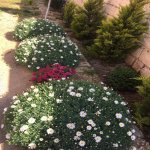 Аренда 4 комнат Дача, пос. Говсан, Сураханы район 3