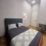 Аренда 2 комнатная Новостройка, м. 28 Мая метро, Насими район 10