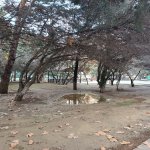 Kirayə (aylıq) 2 otaqlı Köhnə Tikili, Elmlər akademiyası metrosu, Yasamal qəs., Vergilər Nazirliyi, Yasamal rayonu 8