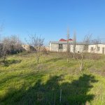 Satılır Torpaq, Buzovna, Xəzər rayonu 5