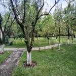 Аренда 2 комнатная Дома/Виллы Губа 4
