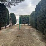 Kirayə (aylıq) 4 otaqlı Bağ evi, Gürgən, Xəzər rayonu 5