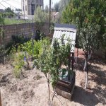 Kirayə (günlük) 4 otaqlı Bağ evi, Novxanı, Abşeron rayonu 9