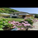 Kirayə (günlük) 4 otaqlı Həyət evi/villa Lerik 3