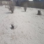 Satılır Torpaq, Novxanı, Abşeron rayonu 3