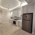 Аренда 2 комнатная Новостройка, м. Гянджлик метро, Кинотеатр Дружба, Насими район 8