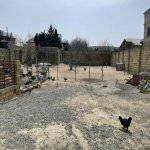 Satılır Torpaq, Novxanı, Abşeron rayonu 1