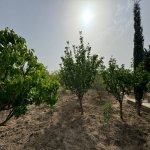 Satılır Torpaq, Şüvəlan, Xəzər rayonu 12