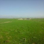 Satılır Torpaq, Masazır, Abşeron rayonu 2
