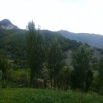 Satılır Torpaq İsmayıllı 7