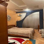Kirayə (aylıq) 5 otaqlı Yeni Tikili, Nəriman Nərimanov metrosu, Heydər Əliyev Mərkəzi, Nərimanov rayonu 8