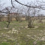 Satılır 1 otaqlı Bağ evi, Fatmayi, Abşeron rayonu 6