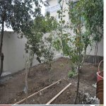 Kirayə (aylıq) 6 otaqlı Həyət evi/villa, Badamdar qəs., Səbail rayonu 18