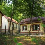 Kirayə (günlük) 1 otaqlı Həyət evi/villa Qusar 25