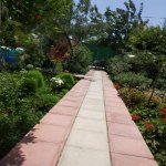 Kirayə (aylıq) 3 otaqlı Bağ evi, Şüvəlan, Xəzər rayonu 6
