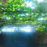 Satılır 4 otaqlı Həyət evi/villa, Buzovna, Xəzər rayonu 12