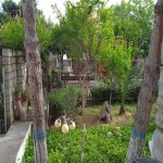 Kirayə (aylıq) 3 otaqlı Həyət evi/villa, Mərdəkan, Xəzər rayonu 10