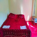 Kirayə (günlük) 3 otaqlı Həyət evi/villa Lerik 8