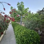 Kirayə (aylıq) 9 otaqlı Bağ evi, Xəzər rayonu 25