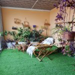 Kirayə (aylıq) 5 otaqlı Bağ evi, Şüvəlan, Xəzər rayonu 12