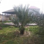 Satılır 6 otaqlı Bağ evi, Mərdəkan, Xəzər rayonu 10