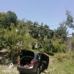 Kirayə (günlük) 2 otaqlı Bağ evi Quba 8