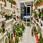 Продажа Объект Хырдалан 5