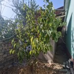 Satılır 3 otaqlı Həyət evi/villa, Binəqədi qəs., Binəqədi rayonu 17