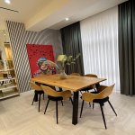 Kirayə (aylıq) 3 otaqlı Yeni Tikili, Nəriman Nərimanov metrosu, Nərimanov rayonu 13