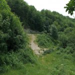 Satılır Torpaq Şamaxı 11