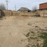 Satılır Torpaq, Saray, Abşeron rayonu 1