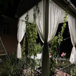 Kirayə (günlük) 4 otaqlı Bağ evi İsmayıllı 8