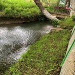 Satılır 4 otaqlı Həyət evi/villa Xaçmaz / Nabran 12