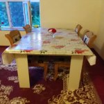 Kirayə (günlük) 3 otaqlı Həyət evi/villa Lerik 19