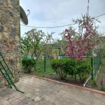 Kirayə (günlük) 2 otaqlı Həyət evi/villa Quba 18