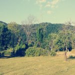 Satılır Torpaq Qəbələ 10