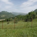 Satılır Torpaq Şamaxı 3