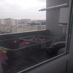 Аренда 2 комнатная Новостройка Хырдалан 7