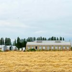 Продажа Объект Хачмаз 14