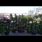 Kirayə (aylıq) 2 otaqlı Köhnə Tikili, Sahil metrosu, Bayıl qəs., Səbail rayonu 10